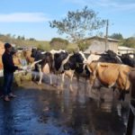 Família Cizeski acompanha a evolução da agricultura e projeta instalação de laticínio