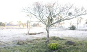 Frio intenso marca o segundo final de semana do inverno em Santa Catarina