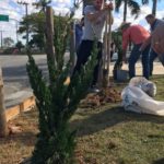 De forma voluntária, moradores fazem a jardinagem no Centro Comunitário de Linha Torrens