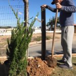 De forma voluntária, moradores fazem a jardinagem no Centro Comunitário de Linha Torrens