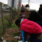 Morro da Fumaça inicia ações em alusão ao Dia da Árvore