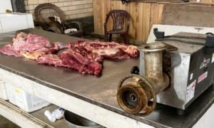 Polícia Civil apreende 520 quilos de carne de origem duvidosa