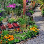 Floricultura Casa das Flores se prepara para o Dia de Finados