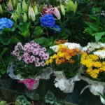 Floricultura Casa das Flores se prepara para o Dia de Finados