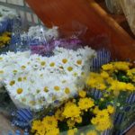 Floricultura Casa das Flores se prepara para o Dia de Finados