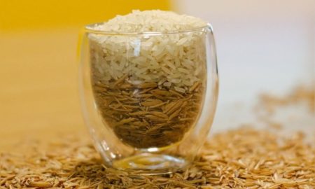 Da plantação à mesa: como funciona a cadeia de suprimentos do arroz?