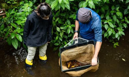 A zoologia posta em prática em ação da Unesc