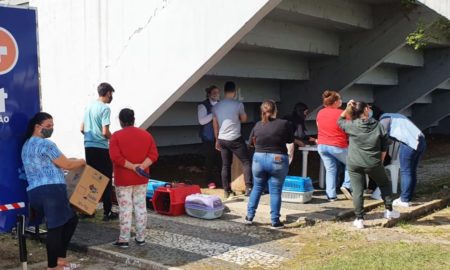 ONG Vida de Cão realiza novo mutirão de castração social no sábado