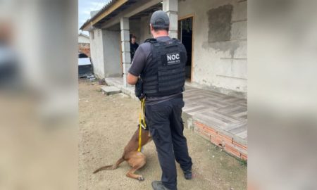 Tráfico de Drogas: Polícia Civil executa operação em Morro da Fumaça