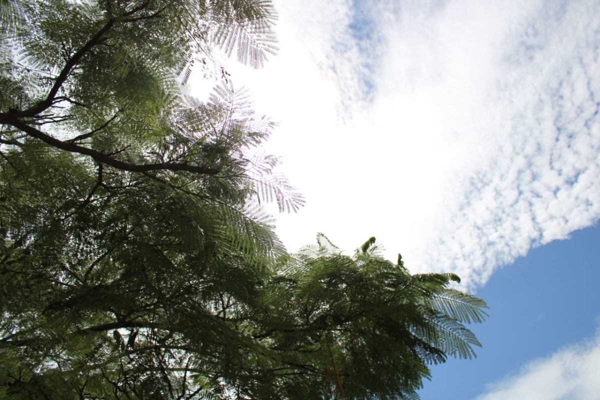 Defesa Civil de Morro da Fumaça dá dicas para enfrentar forte calor