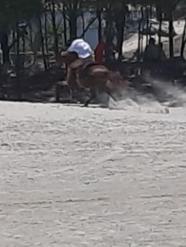 Veranistas dividem beira-mar com carros, motos e até cavalo no Balneário Esplanada (VÍDEO)