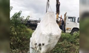 Defesa Civil e Fumaf monitoram retirada de carga com produtos químicos (VÍDEO)