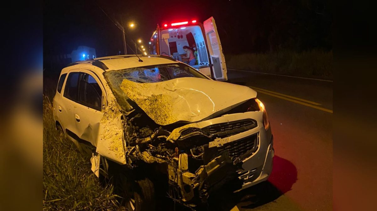 Cavalo provoca acidente e morre na Rodovia Gregório Espíndola