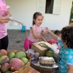 Horta, Culinária e Educação Financeira presentes na 2ª Feira Orgânica do Centro de Educação Infantil Sons do Verde