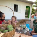 Horta, Culinária e Educação Financeira presentes na 2ª Feira Orgânica do Centro de Educação Infantil Sons do Verde