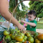 Horta, Culinária e Educação Financeira presentes na 2ª Feira Orgânica do Centro de Educação Infantil Sons do Verde