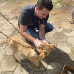 Animais ilhados são resgatados em Morro da Fumaça