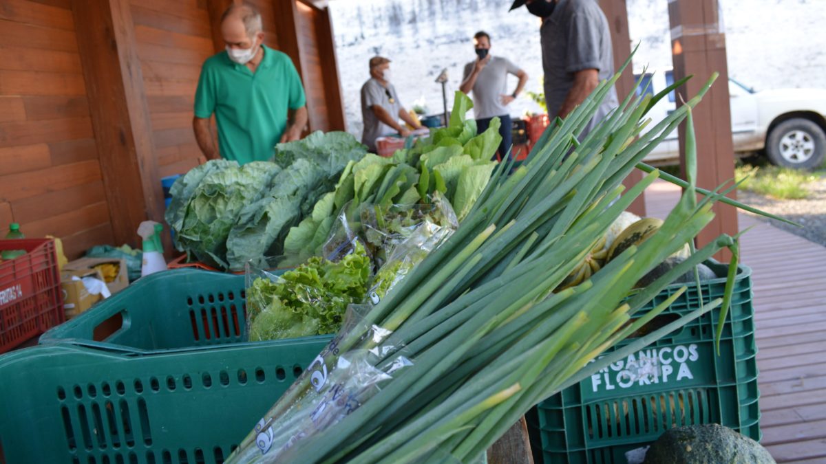 Servidores da Prefeitura de Morro da Fumaça recebem vale para utilizarem na Feira da Agricultura Familiar