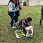 Em parceria com a Escola S, alunos de Morro da Fumaça aprendem sobre o cultivo de hortas