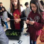 Em parceria com a Escola S, alunos de Morro da Fumaça aprendem sobre o cultivo de hortas