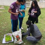 Em parceria com a Escola S, alunos de Morro da Fumaça aprendem sobre o cultivo de hortas