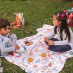 Centro de Educação Infantil Sons do Verde reúne famílias em 'PicNic'