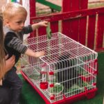 Centro de Educação Infantil Sons do Verde reúne famílias em 'PicNic'