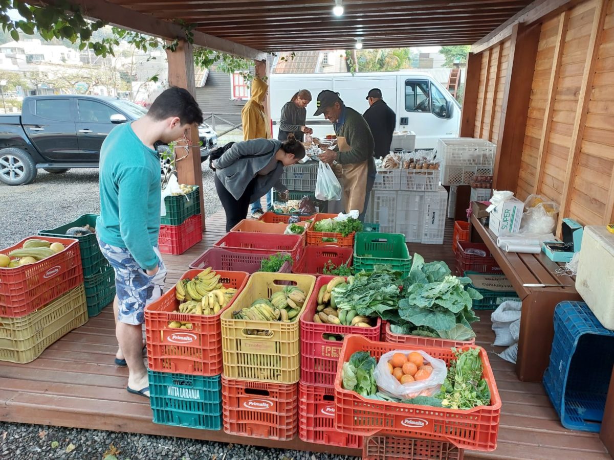 Cooperativa da Agricultura Familiar de Morro da Fumaça fortalece trabalho no campo