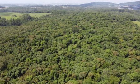 Governo de Morro da Fumaça traz Selo Verde para conceder a empresas sustentáveis