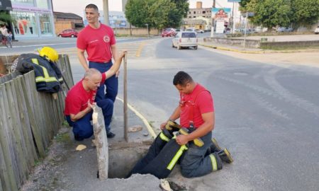 Corpo de Bombeiros tenta resgatar gato preso em bueiro