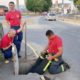 Corpo de Bombeiros tenta resgatar gato preso em bueiro