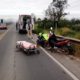 Cachorro provoca queda de motociclista na Rodovia SC-445