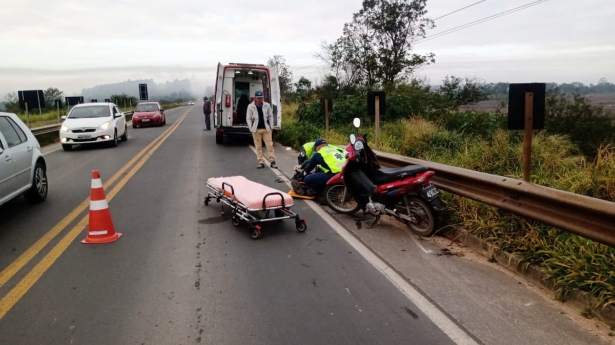 Cachorro provoca queda de motociclista na Rodovia SC-445