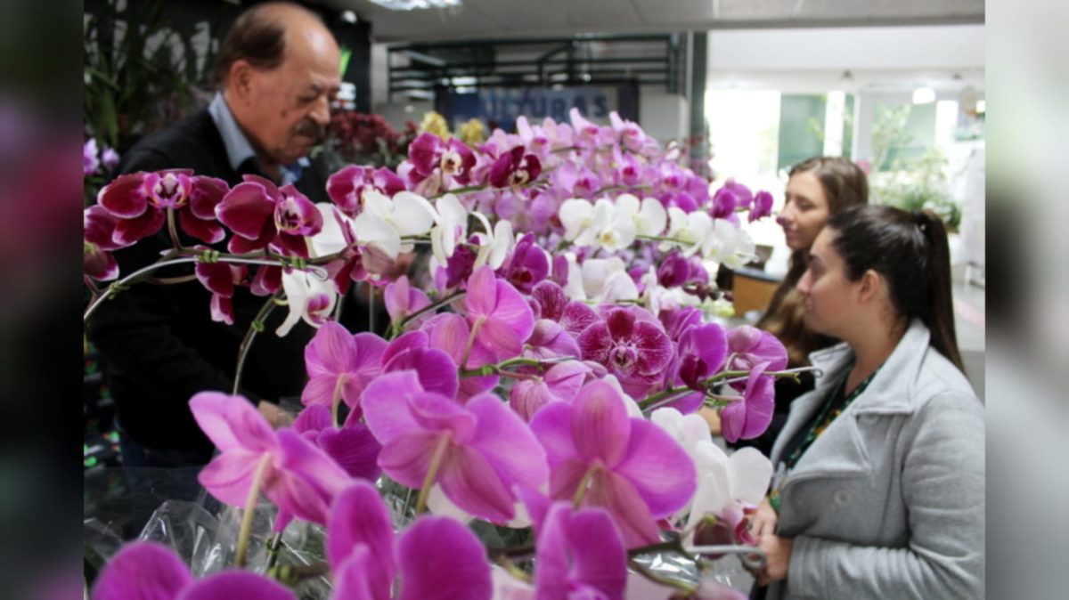 Unesc ainda mais colorida com a realização da ação Primavera e Paz