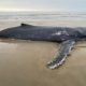 Baleia encalhada na praia da Esplanada deverá receber eutanásia