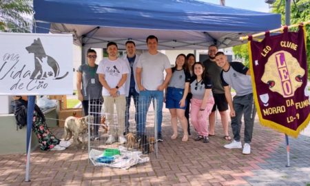 Animais são adotados em Feira do Leo Clube e ONG Vida de Cão