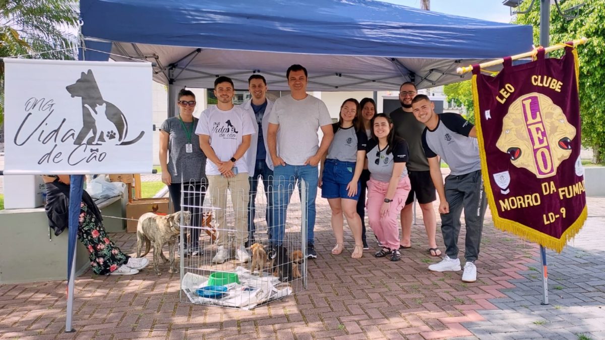 Animais são adotados em Feira do Leo Clube e ONG Vida de Cão