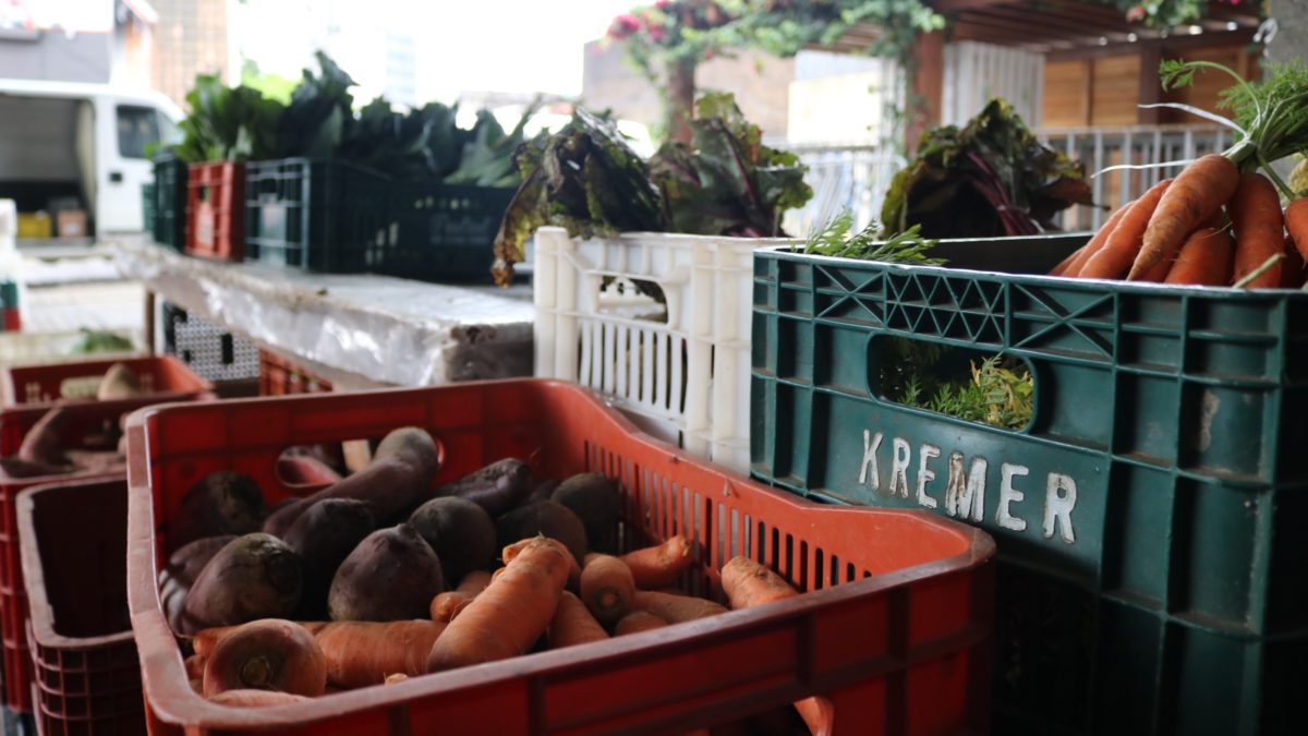 Feira da Agricultura Familiar retorna nesta quarta-feira em Morro da Fumaça