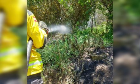 Corpo de Bombeiros de Morro da Fumaça combate incêndio em vegetação