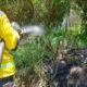 Corpo de Bombeiros de Morro da Fumaça combate incêndio em vegetação