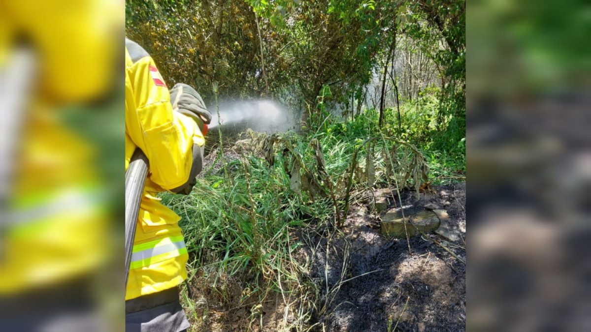 Corpo de Bombeiros de Morro da Fumaça combate incêndio em vegetação