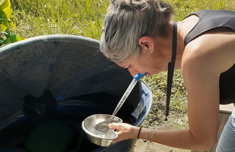 Morro da Fumaça tem primeiro foco do mosquito da dengue identificado