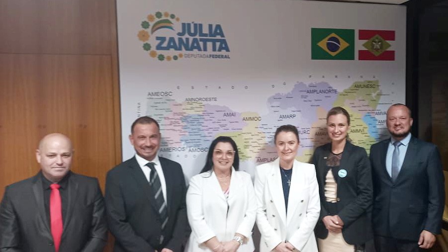Vereadores cumprem agenda em Brasília e se reúnem com congressistas