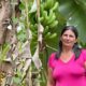 Fumacense mostra a força da mulher na agricultura