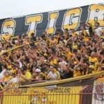 Tigre é Campeão Catarinense de 2023