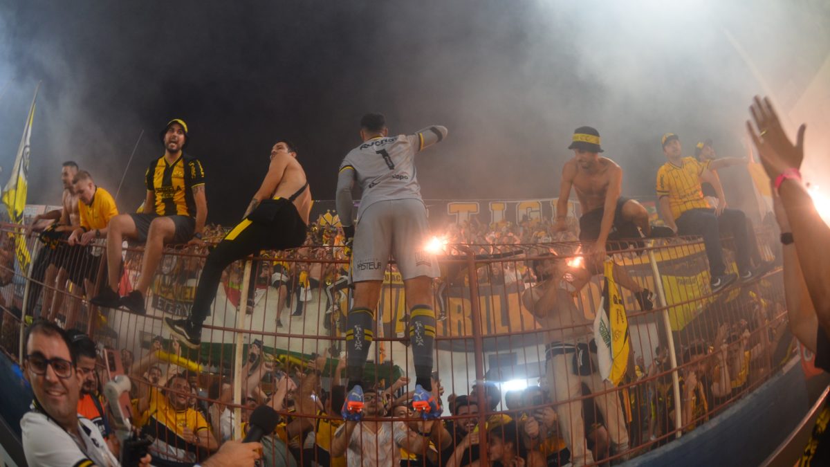 Tigre é Campeão Catarinense de 2023