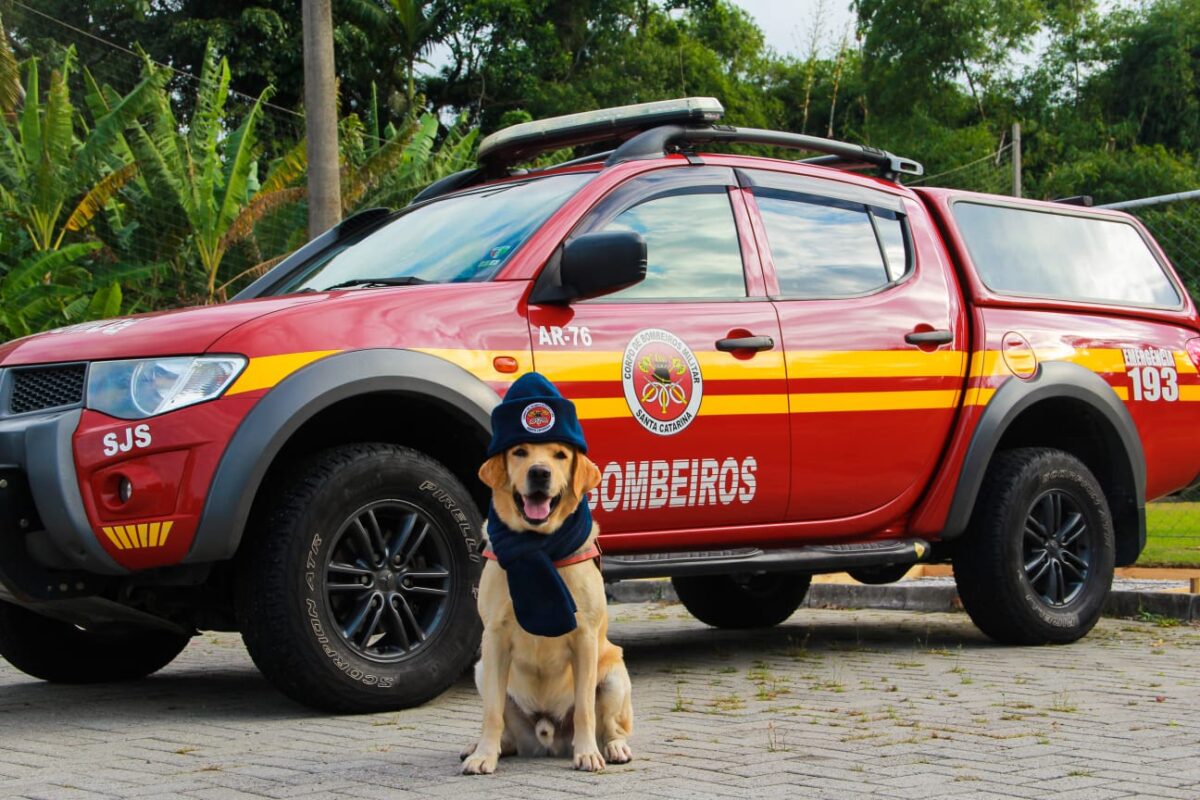 Quartéis do Corpo de Bombeiros são pontos de doações para Campanha do Agasalho