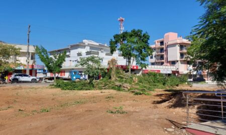 Corte de árvore na Praça da Matriz gera polêmica em Morro da Fumaça