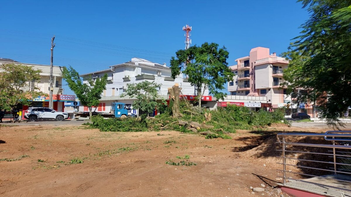 Corte de árvore na Praça da Matriz gera polêmica em Morro da Fumaça