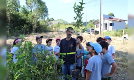 Semana do Meio Ambiente: Fumaf traz programação diversa em Morro da Fumaça